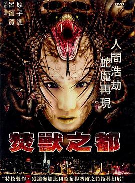 《美丽的梦》海报